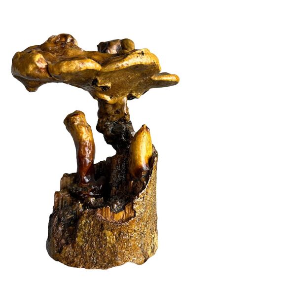 mushroom root sculpture 7” - Picture 1 of 4